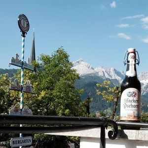 Meet your Posher, Wayne